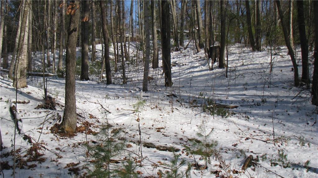 Lots Kilgore Road Waynesville, NC 28785 - Photo 1 of 4