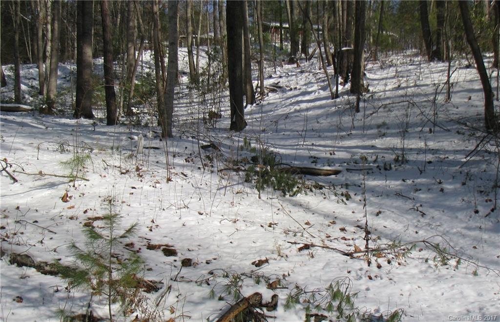 Lots Kilgore Road Waynesville, NC 28785 - Photo 2 of 4