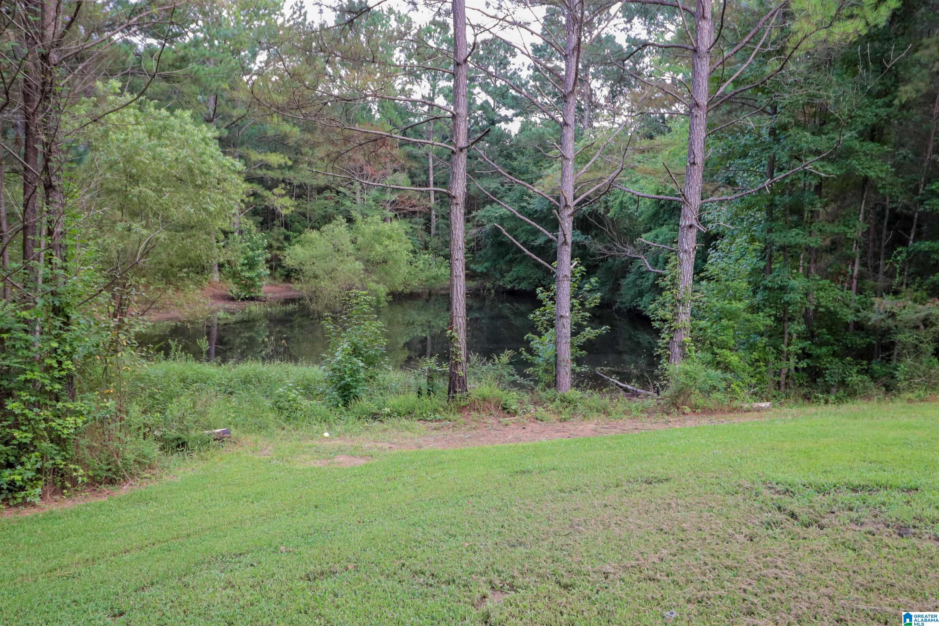 6130 Spunky Hollow Road Locust Fork, AL 35097 - Photo 38 of 45