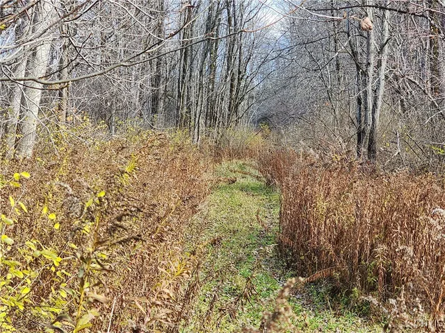 $9,000 | Rt-294, Boonville, NY 13309