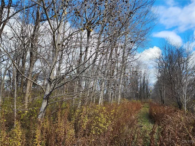 $9,000 | Rt-294, Boonville, NY 13309