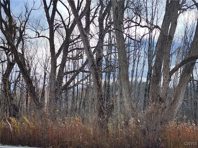 $9,000 | Rt-294, Boonville, NY 13309