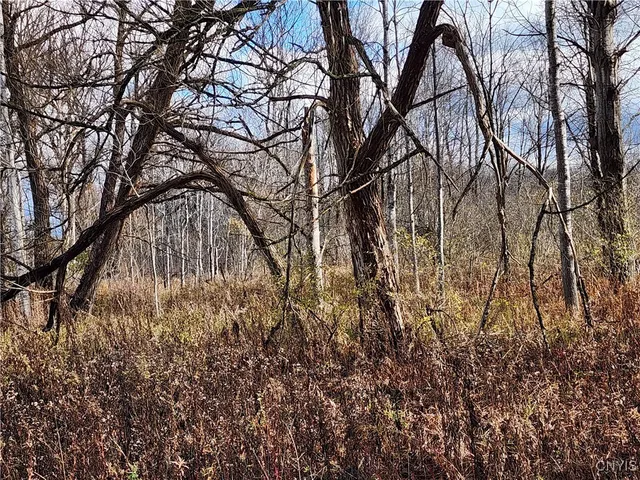 $9,000 | Rt-294, Boonville, NY 13309