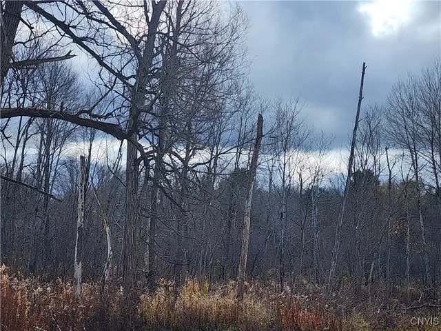 $9,000 | Rt-294, Boonville, NY 13309