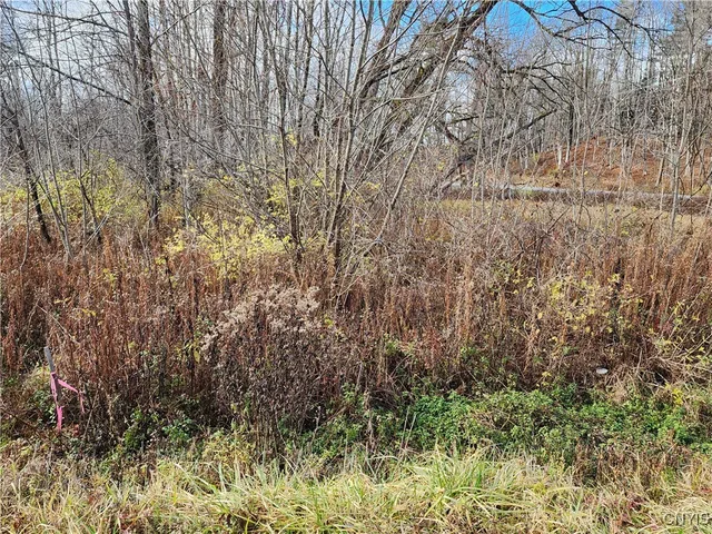 $9,000 | Rt-294, Boonville, NY 13309