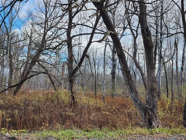 $9,000 | Rt-294, Boonville, NY 13309