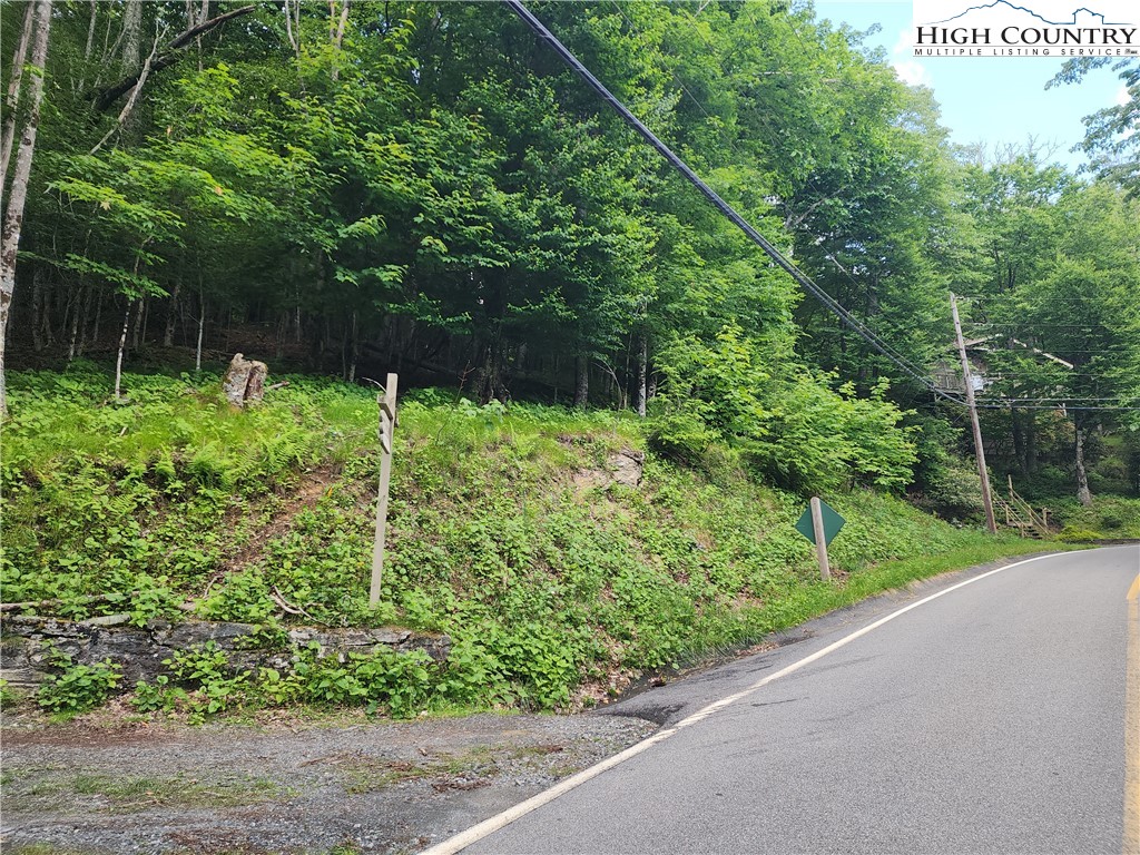 218 Lake Road Beech Mountain, NC 28604 - Photo 2 of 3 a view of a garden