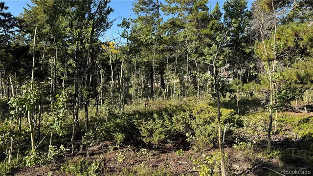 $125,000 | 1 Peak View Drive, Black Hawk, CO 80422
