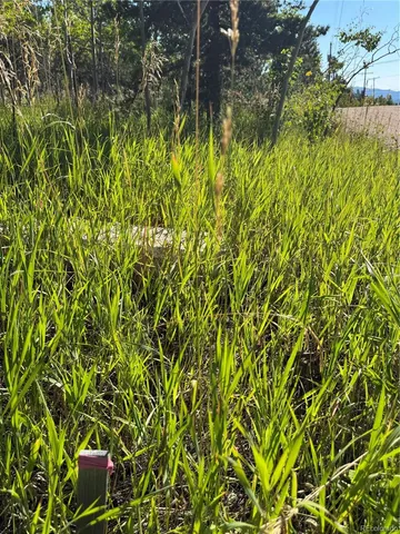 $125,000 | 1 Peak View Drive, Black Hawk, CO 80422