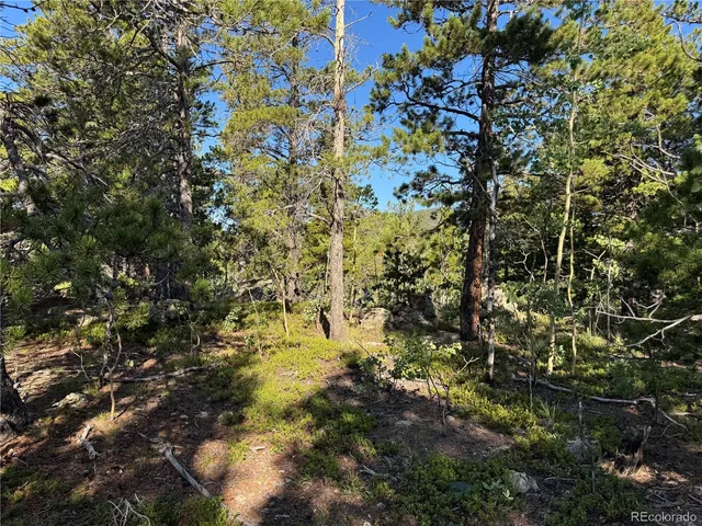 $125,000 | 1 Peak View Drive, Black Hawk, CO 80422