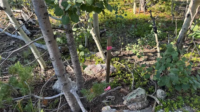 $125,000 | 1 Peak View Drive, Black Hawk, CO 80422