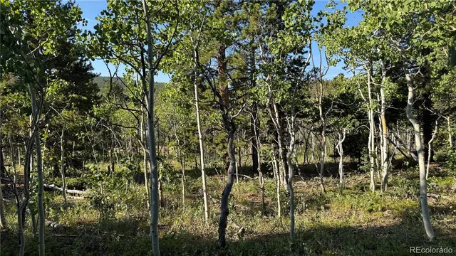 $125,000 | 1 Peak View Drive, Black Hawk, CO 80422
