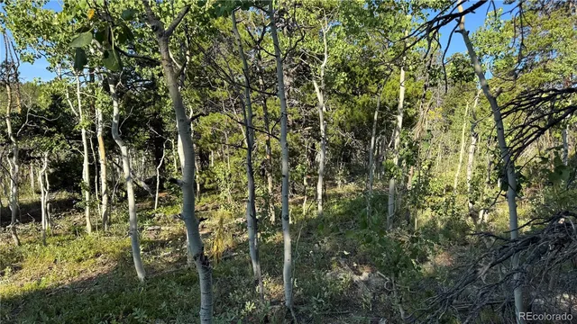 $125,000 | 1 Peak View Drive, Black Hawk, CO 80422