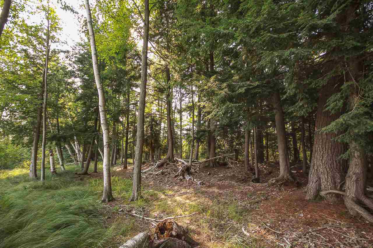 Strickland Road Grawn, MI 49637 - Photo 14 of 27 1872391-13.JPG