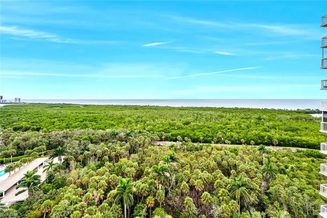a view of a green field
