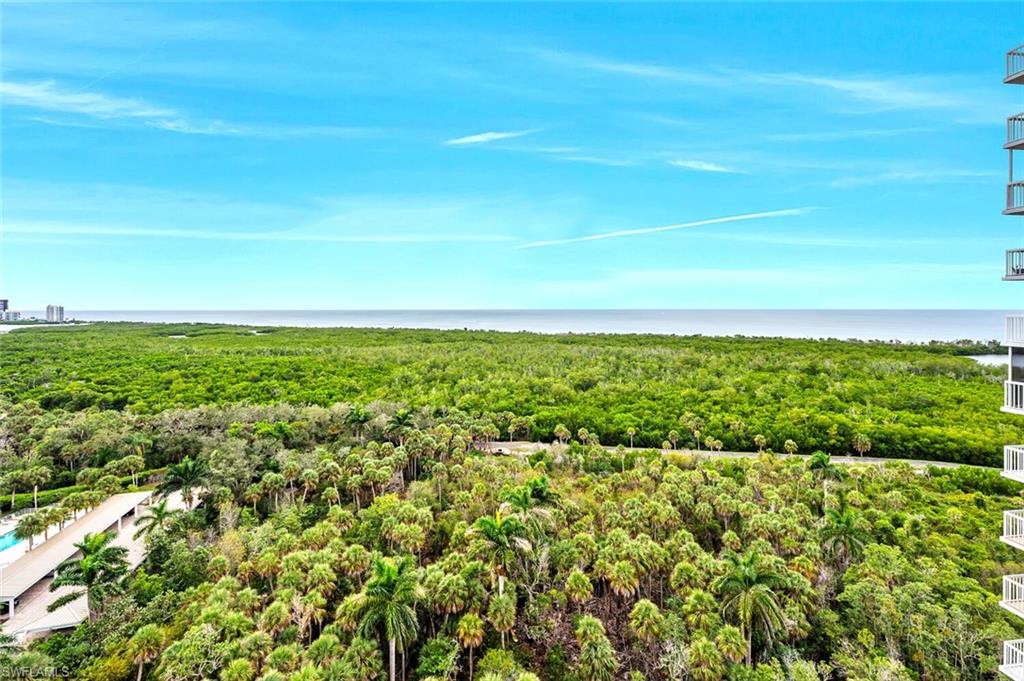 6573 Marissa Loop, Unit 1704 Naples, FL 34108 - Photo 28 of 39 a view of a green field