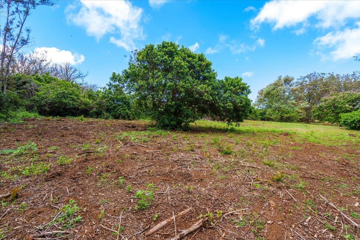 2175 Kauhikoa Road, Unit 7 Haiku, HI 96708 - Photo 4 of 21