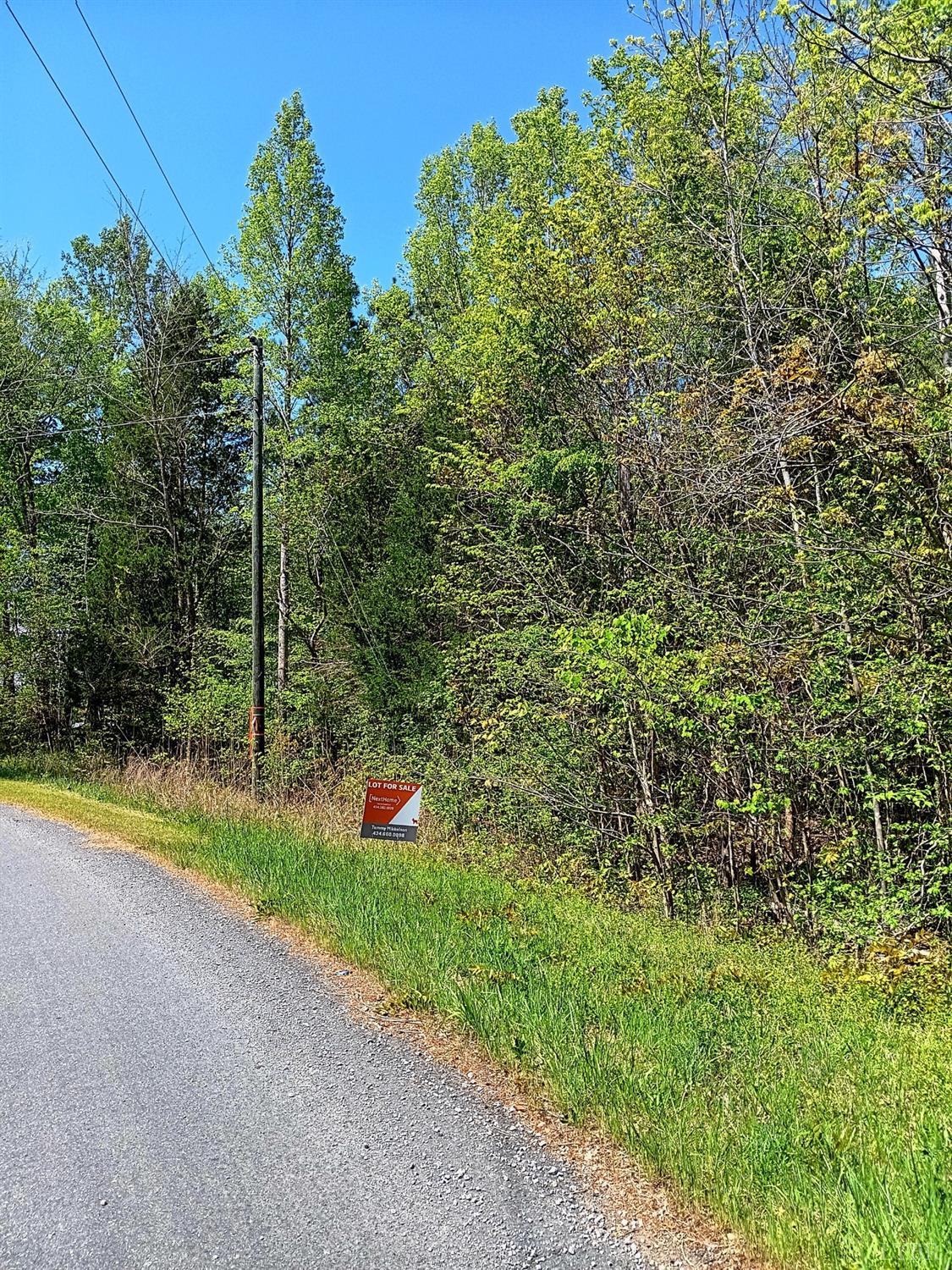 0 Mossing Ford Road Saxe, VA 23967 - Photo 11 of 13