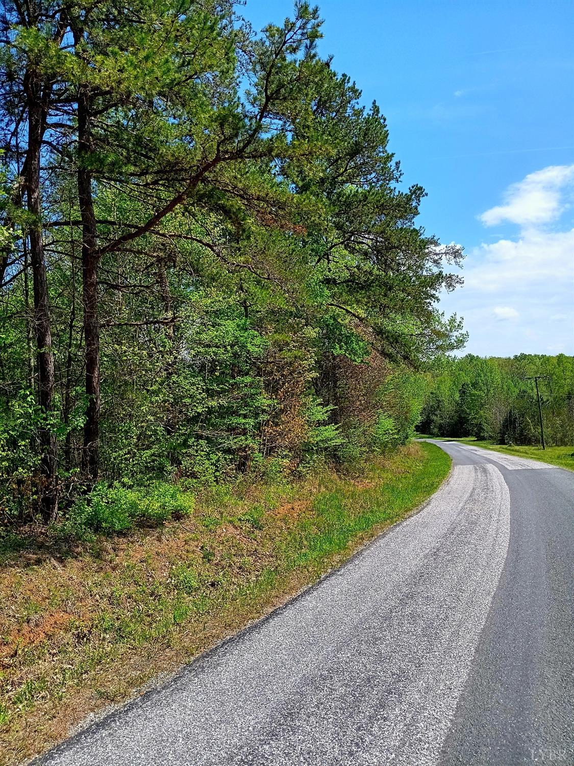 0 Mossing Ford Road Saxe, VA 23967 - Photo 3 of 13