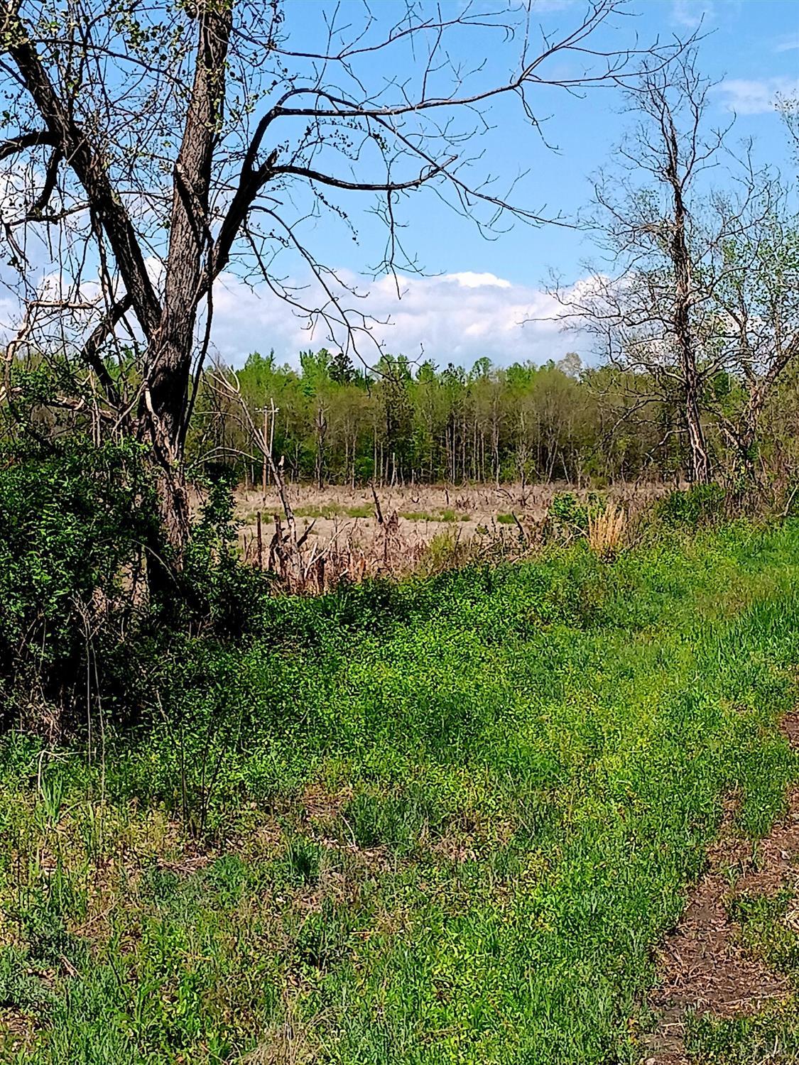 0 Mossing Ford Road Saxe, VA 23967 - Photo 4 of 13