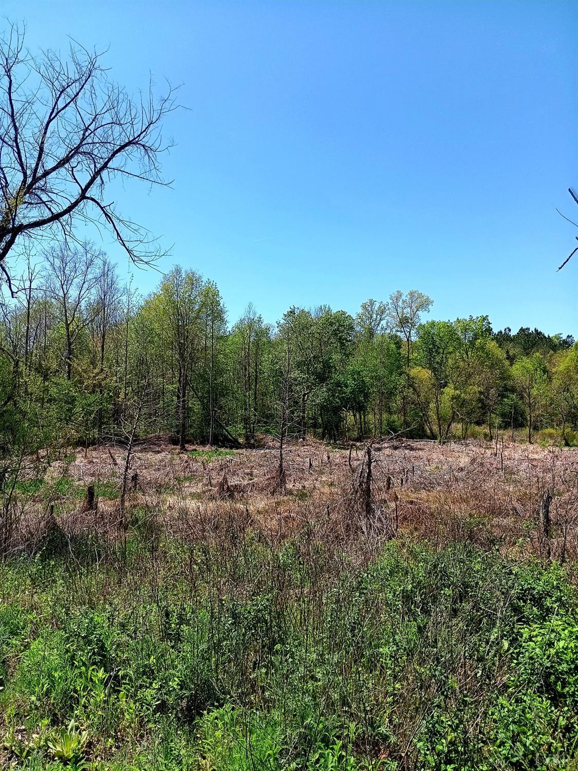 0 Mossing Ford Road Saxe, VA 23967 - Photo 5 of 13