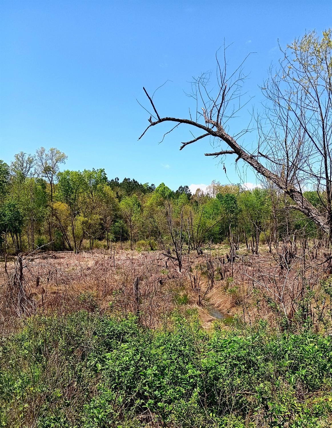 0 Mossing Ford Road Saxe, VA 23967 - Photo 6 of 13