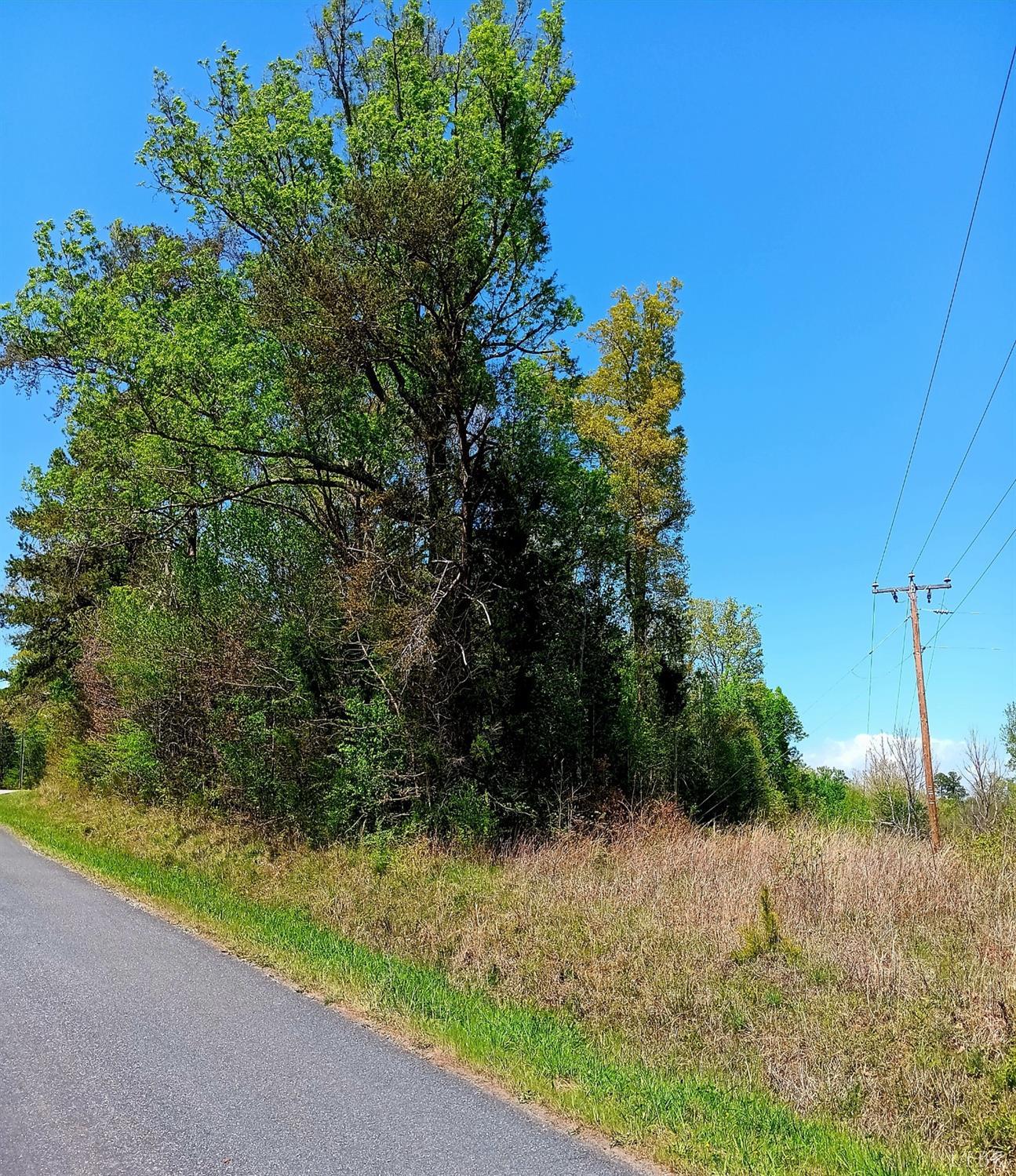 0 Mossing Ford Road Saxe, VA 23967 - Photo 7 of 13