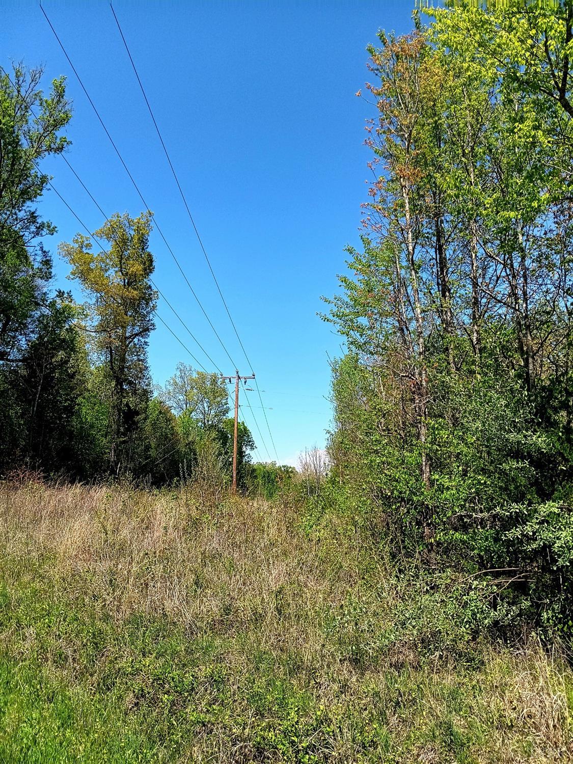 0 Mossing Ford Road Saxe, VA 23967 - Photo 8 of 13