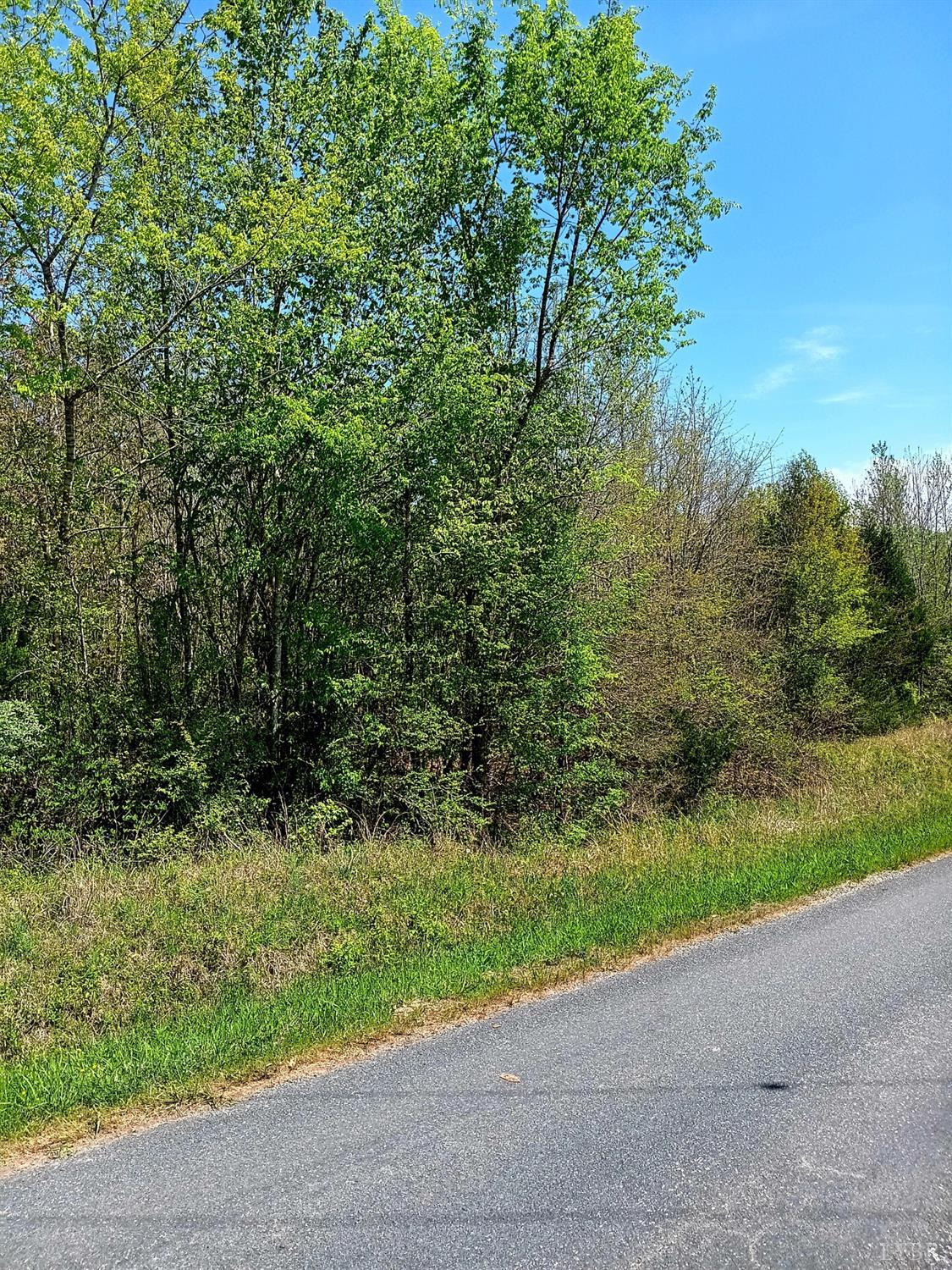 0 Mossing Ford Road Saxe, VA 23967 - Photo 9 of 13