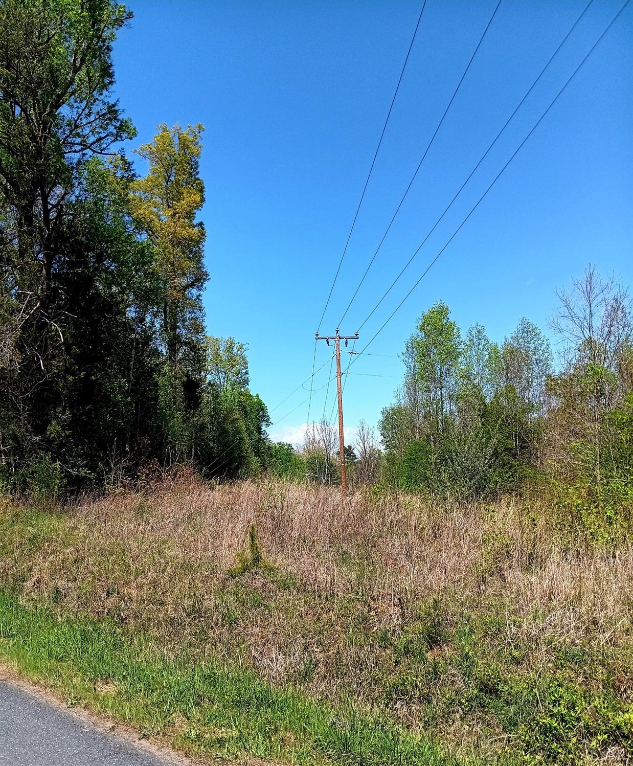 0 Mossing Ford Road Saxe, VA 23967 - Photo 10 of 13