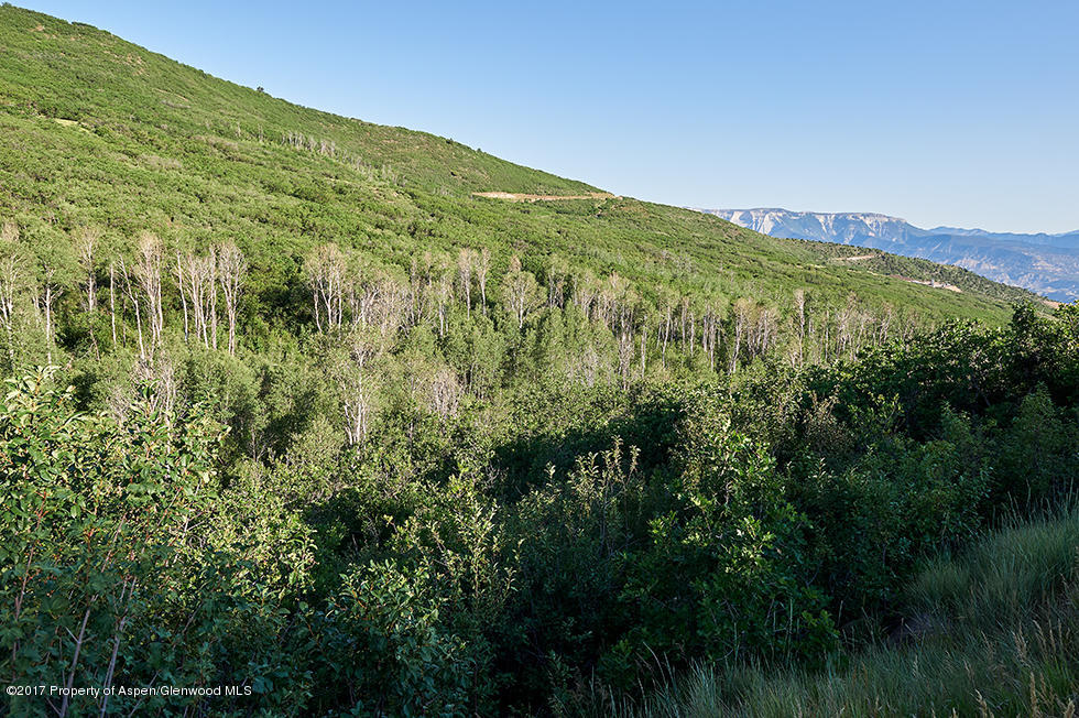 Lot 3 Beaver Creek Rifle, CO 81650 - Photo 5 of 27 Beaver Creek Highlands in Rifle Web 04
