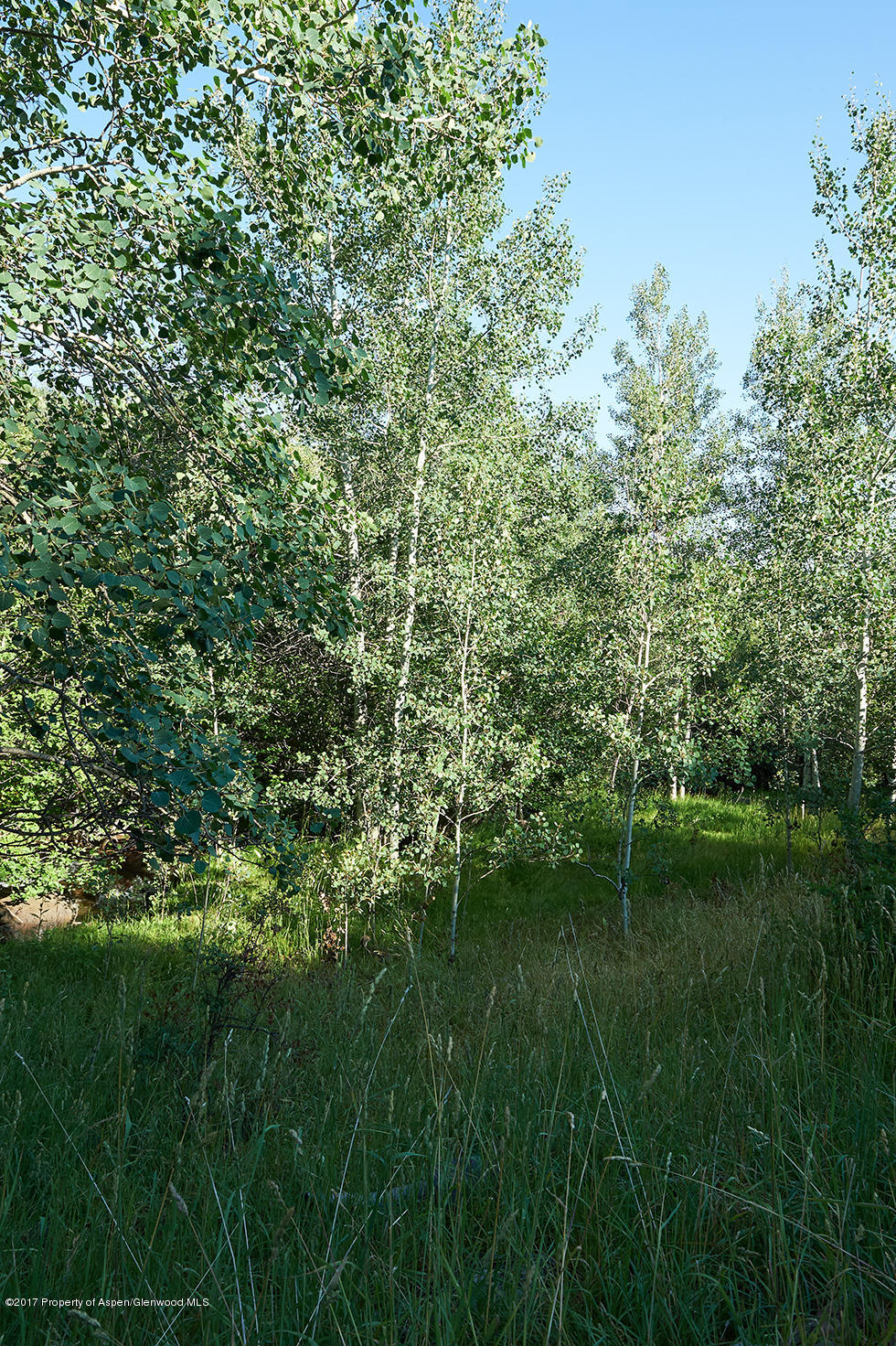 Lot 3 Beaver Creek Rifle, CO 81650 - Photo 8 of 27 Beaver Creek Highlands in Rifle Web 07