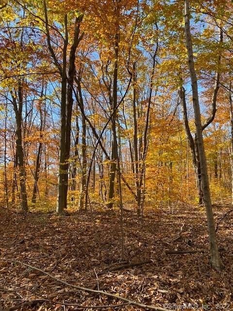 0 Reservoir Road Goshen, CT 06756 - Photo 11 of 13