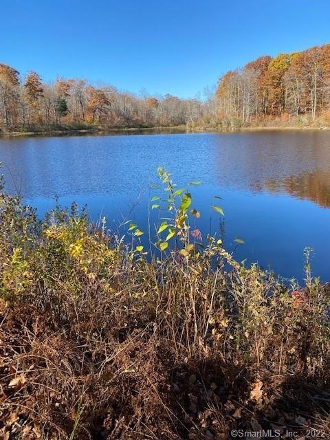 0 Reservoir Road Goshen, CT 06756 - Photo 3 of 13