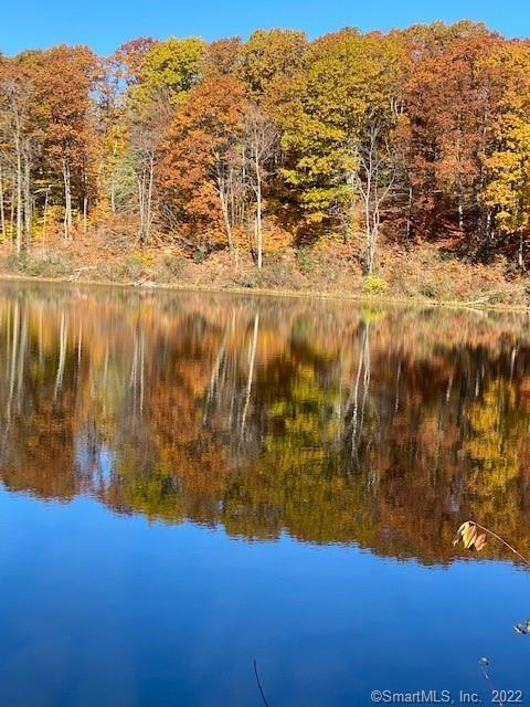 0 Reservoir Road Goshen, CT 06756 - Photo 4 of 13