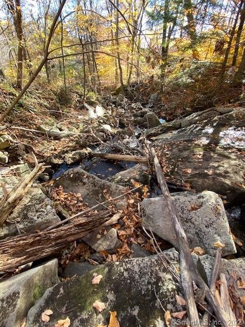 0 Reservoir Road Goshen, CT 06756 - Photo 6 of 13