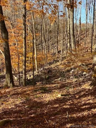 $4,450,000 | 0 Reservoir Road, Goshen, CT 06756