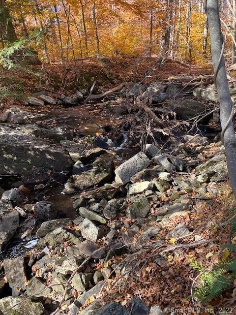 0 Reservoir Road Goshen, CT 06756 - Photo 10 of 13