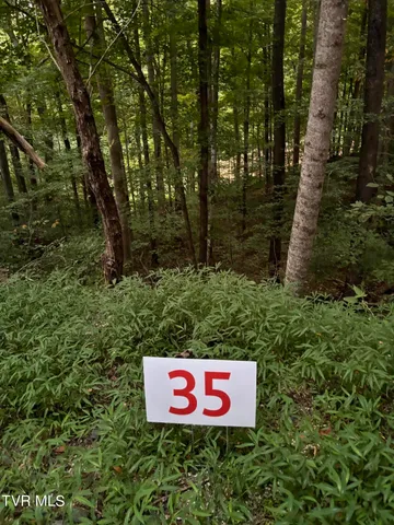 $10,000 | 35 Fox Trot Place, Unit 35, Unicoi, TN 37692