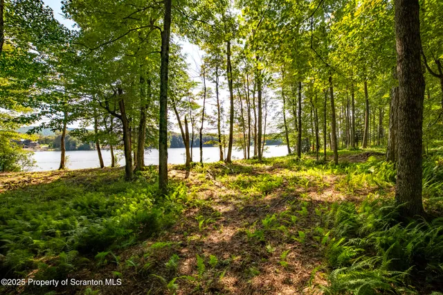 $1,250,000 | Lot 2 Dunn Lane, Thompson, PA 18465