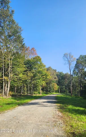 $1,250,000 | Lot 2 Dunn Lane, Thompson, PA 18465