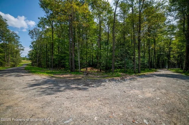 $1,250,000 | Lot 2 Dunn Lane, Thompson, PA 18465