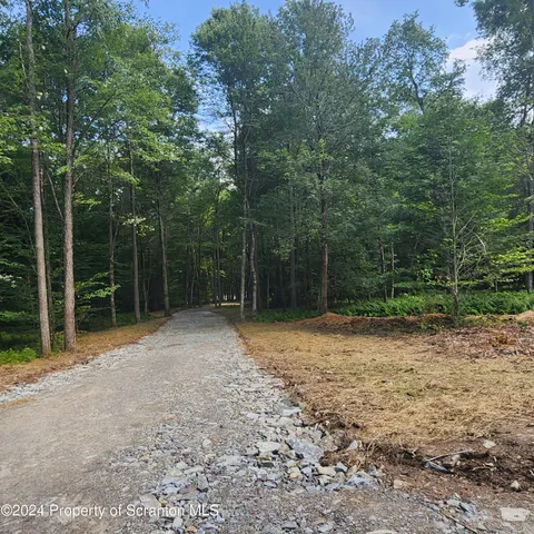 $1,250,000 | Lot 2 Dunn Lane, Thompson, PA 18465