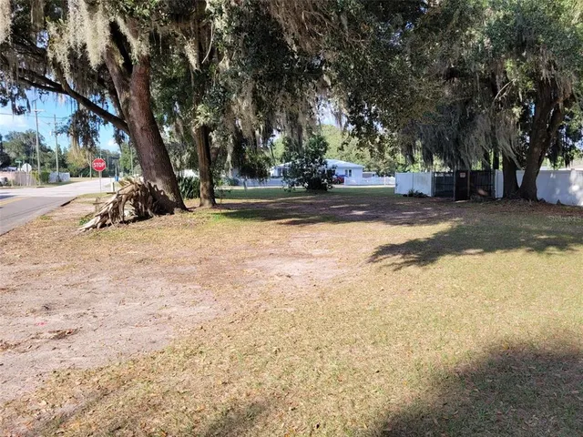 a view of a yard with large trees