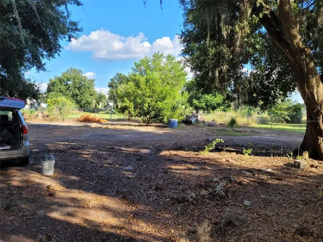 a view of a yard with a tree