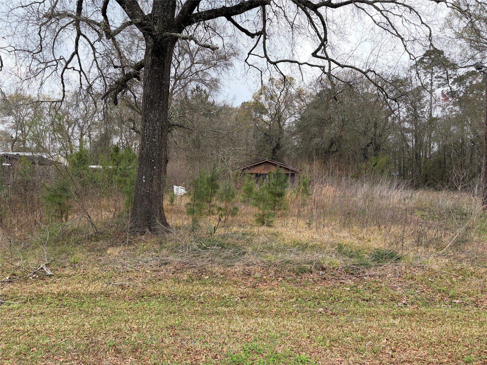 1345 3rd Street Vidor, TX 77662 - Photo 1 of 3