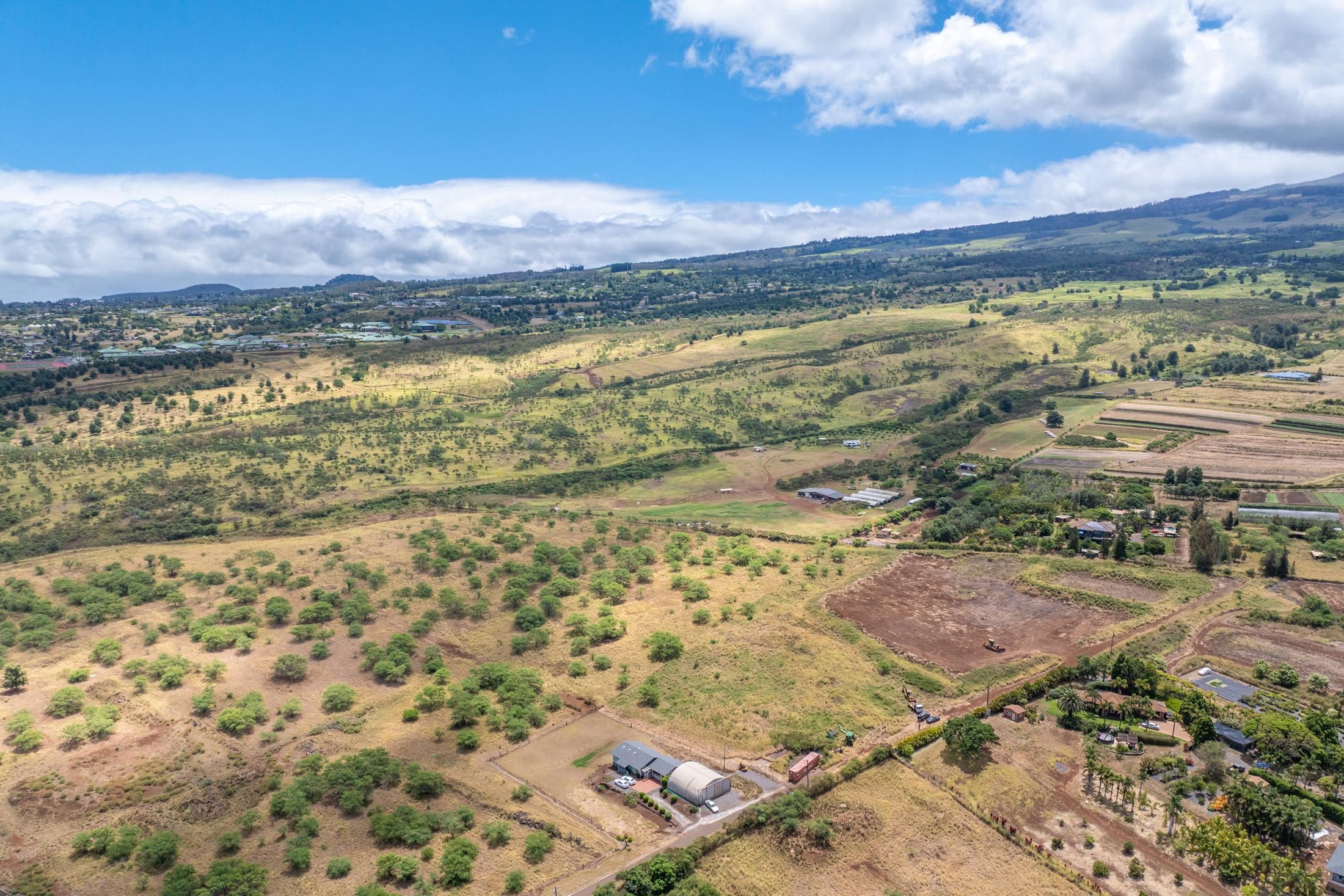 Omaopio Road Kula, HI 96790 - Photo 11 of 31 Gallery Image 11