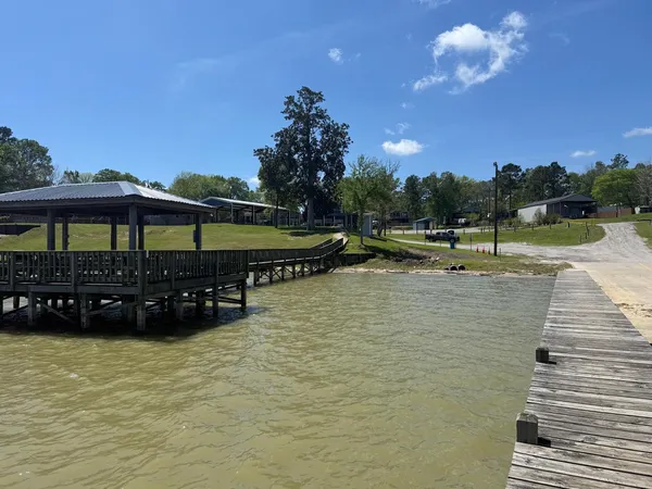 $110,000 | 230 East Woodland Shrs Drive, Point Blank, TX 77364