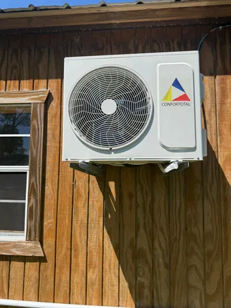 a view of a garden with plants and a bench