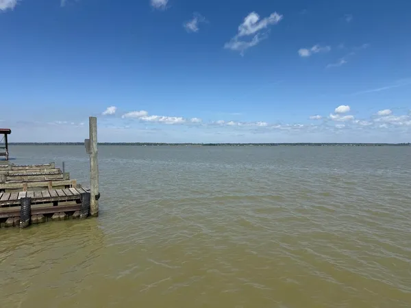 a view of a street with a large trees